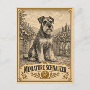 Carte Postale Schnauzer miniature, Chien du patrimoine vintage