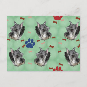 Carte Postale Schnauzer Portrait