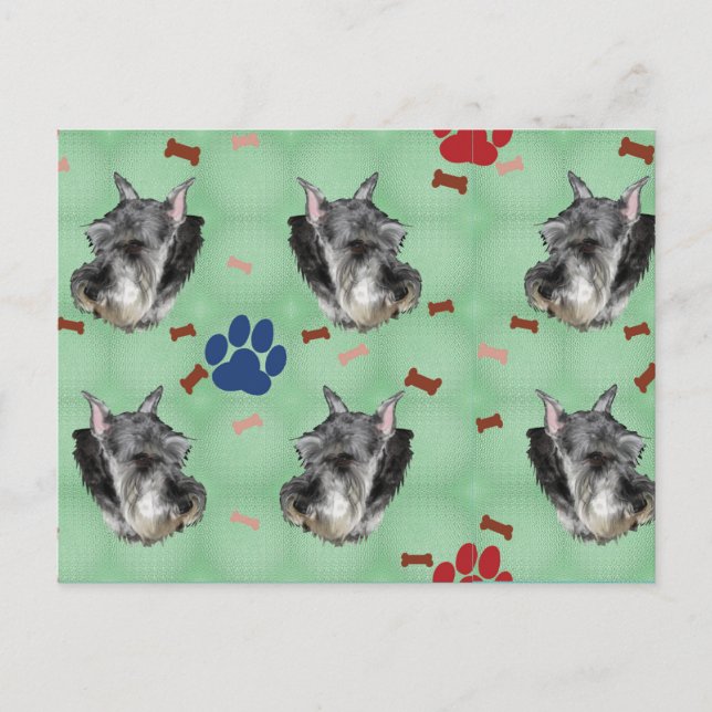 Carte Postale Schnauzer Portrait (Devant)