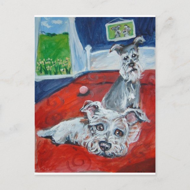 Carte Postale schnauzers sur le lit (Devant)
