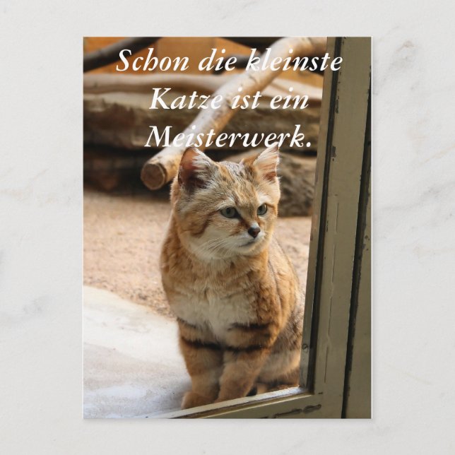 Carte Postale Schon die kleinste Katze ist ei... (Devant)