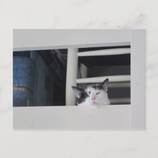 Carte Postale Schöne Aussicht