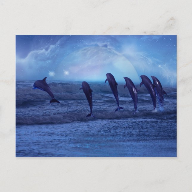 Carte Postale School of dolphins by moonlight (Devant)