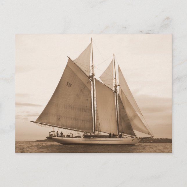 Carte Postale Schooner Adventuress (Devant)
