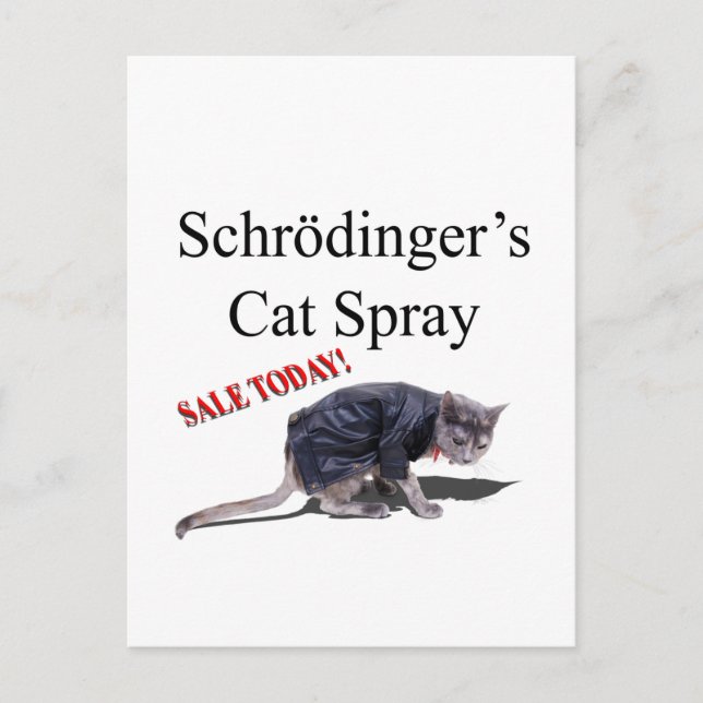 Carte Postale Schrodingercat (Devant)