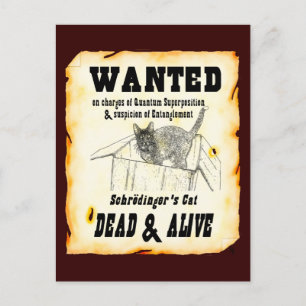 Carte Postale Schrodinger's Cat Postcard