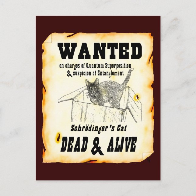 Carte Postale Schrodinger's Cat Postcard (Devant)