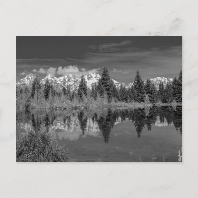Carte Postale Schwabacher Landing (Devant)