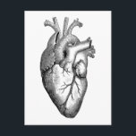 Carte Postale Science de l'anatomie cardiaque<br><div class="desc">Conception vintage</div>
