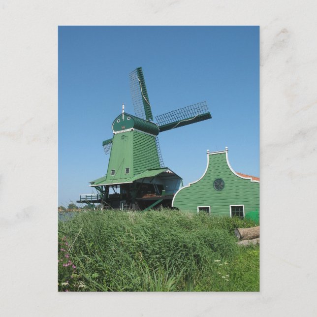 Carte Postale Scierie en Hollande (Devant)