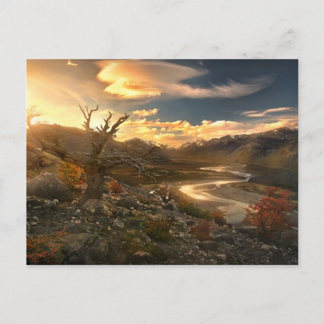 Carte Postale Scion Du Far (Devant)