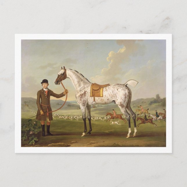 Carte Postale Scipio, Colonel Roche's Spotted Hunter, vers 1750  (Devant)