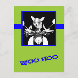 Carte Postale Scooter Chihuahua