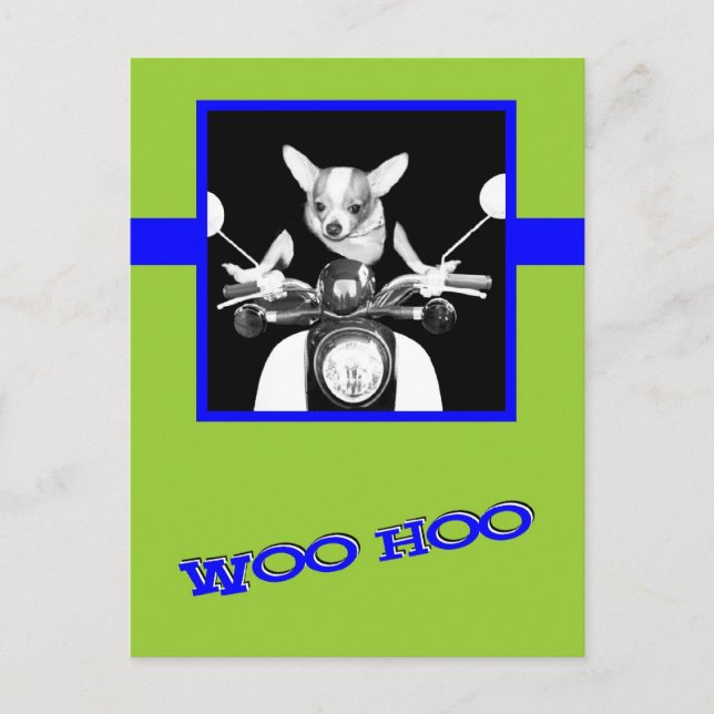 Carte Postale Scooter Chihuahua (Devant)