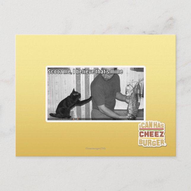 Carte Postale Scooz me, I believe that's mine (Devant)