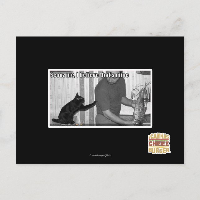 Carte Postale Scooz moi, je crois que c'est le mien (Devant)