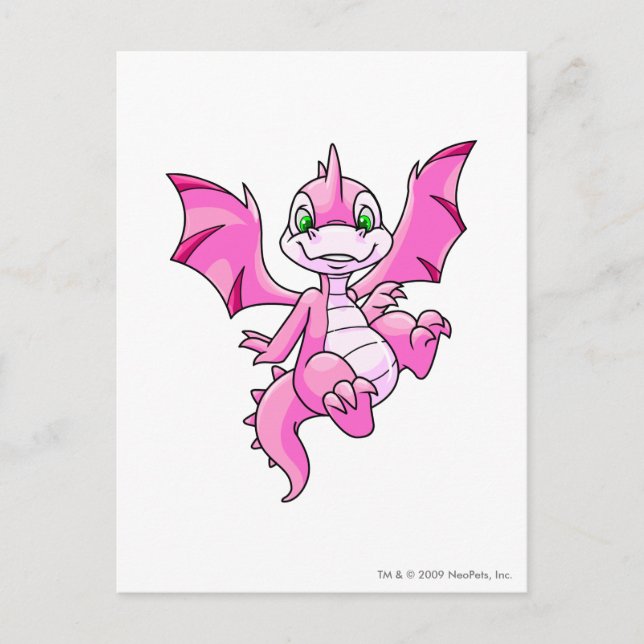 Carte Postale Scorchio rose (Devant)
