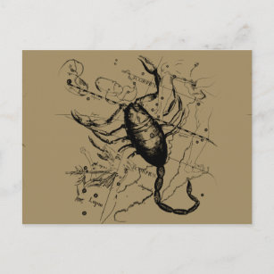 Carte Postale Scorpio Constellation Hevelius vers 1690 Vintage