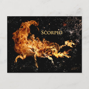 Carte postale Scorpio - Symboles Zodiac