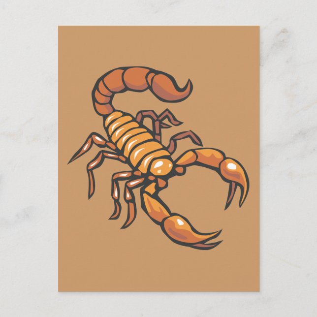 Carte Postale Scorpion (Devant)