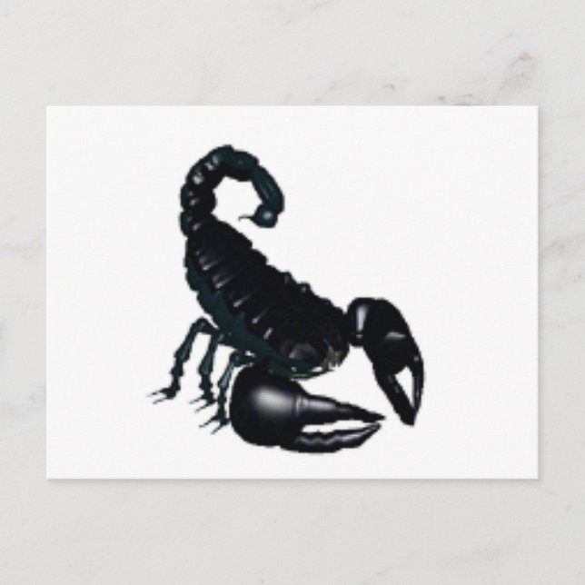 Carte Postale Scorpion noir (Devant)