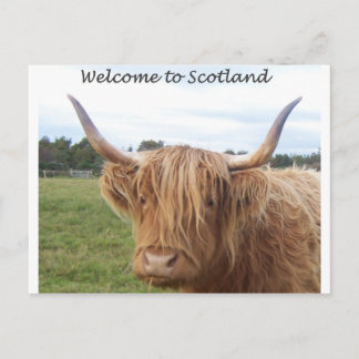 Carte Postale SCOTLANDPOSTCARD.jpg