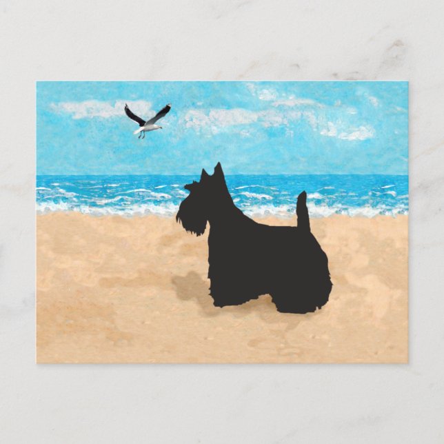 Carte Postale Scottie à la plage avec une mouette (Devant)