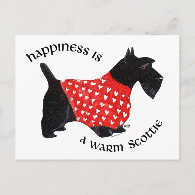 Carte Postale Scottie au pull à carreaux rouge (Devant)
