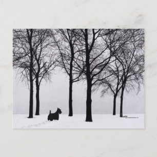 Carte Postale Scottie dans les bois enneigés