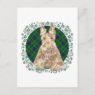 Carte Postale Scottie Duncan Tartan
