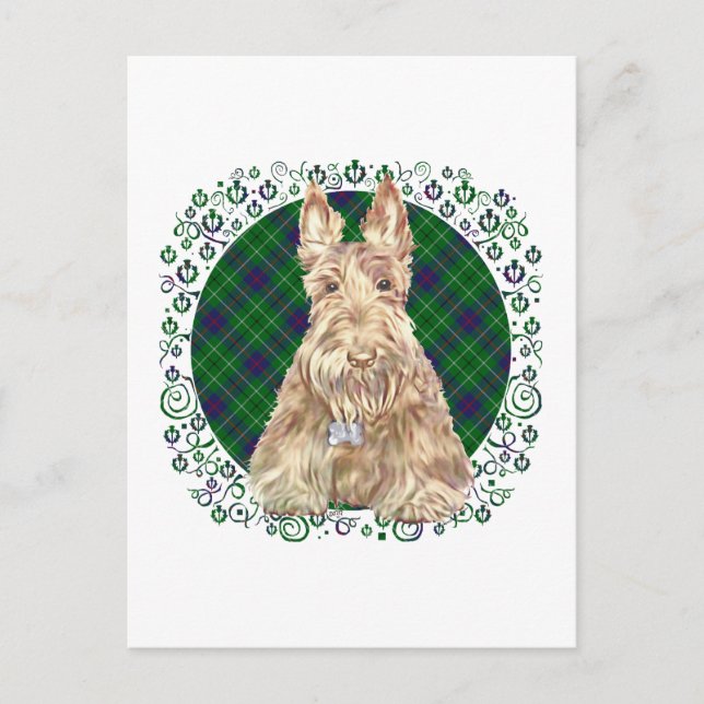 Carte Postale Scottie Duncan Tartan (Devant)