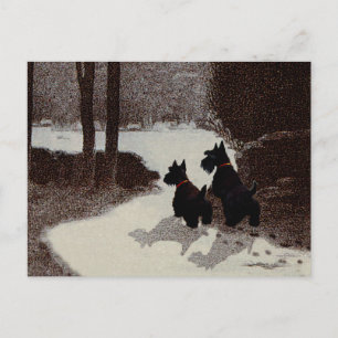 Carte Postale Scotties par une nuit d'hiver surréaliste