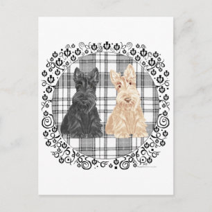 Carte Postale Scotties tartan