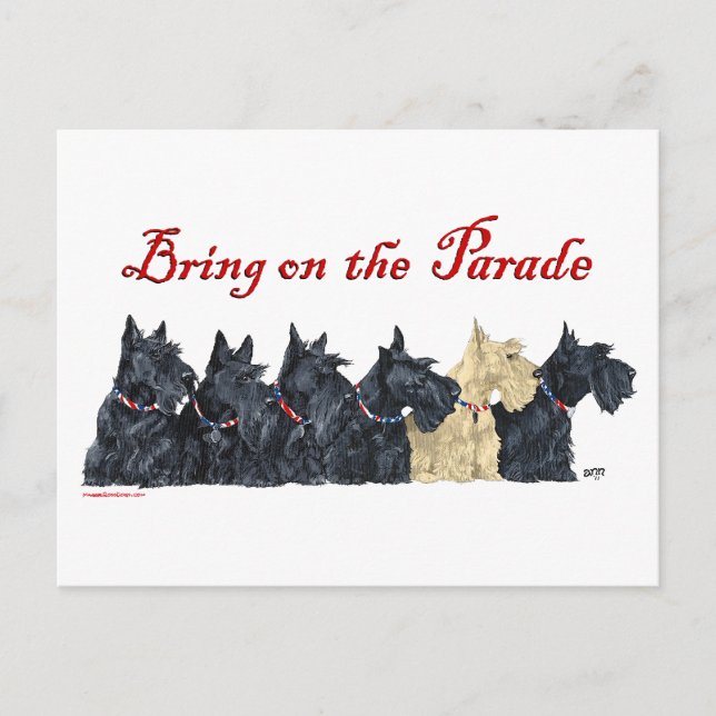 Carte Postale Scotties Tout en Rangée (Devant)