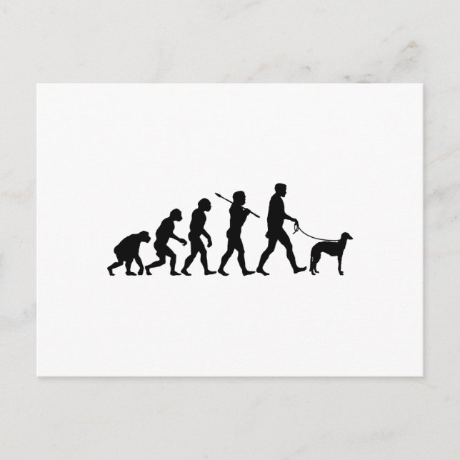 Carte Postale Scottish Deerhound (Devant)