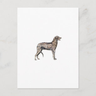 Carte Postale Scottish Deerhound