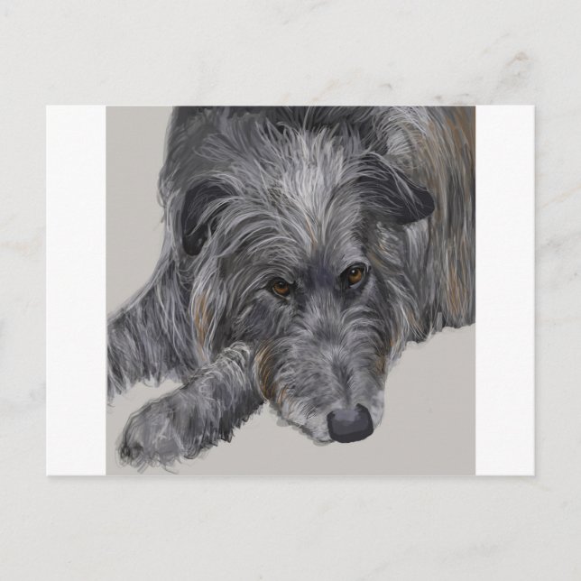 Carte Postale Scottish Deerhound (Devant)