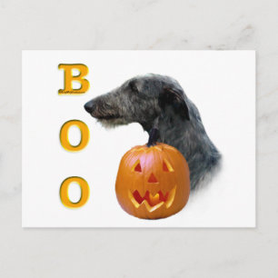 Carte Postale Scottish Deerhound Boo
