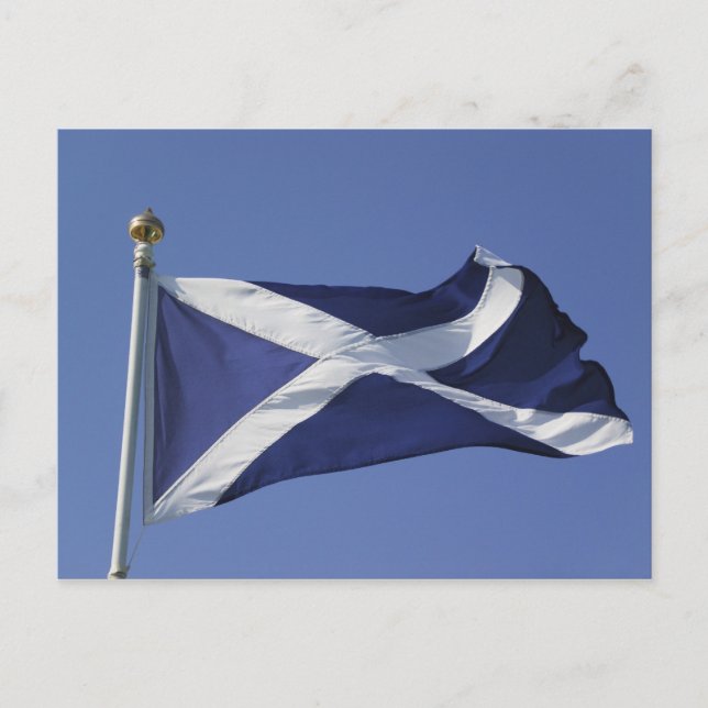 Carte Postale Scottish Flag (Devant)
