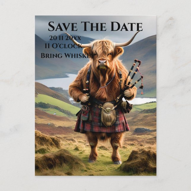 Carte Postale Scottish Highland Vache Bagpiper, Enregistrer La D (Devant)
