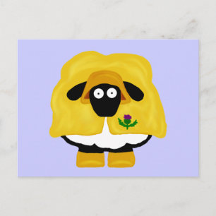 Carte postale Scottish Sheep