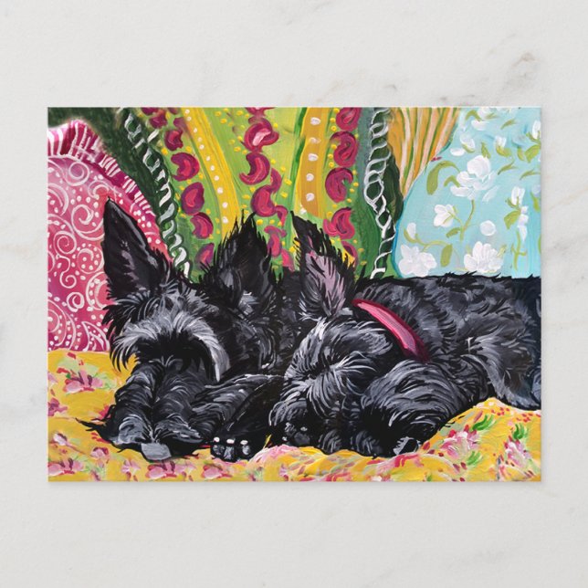Carte Postale Scottish Terrier Cottage (Devant)