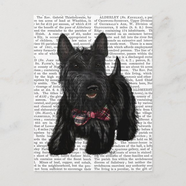 Carte Postale Scottish Terrier et Bow (Devant)