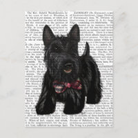 Scottish Terrier et Bow