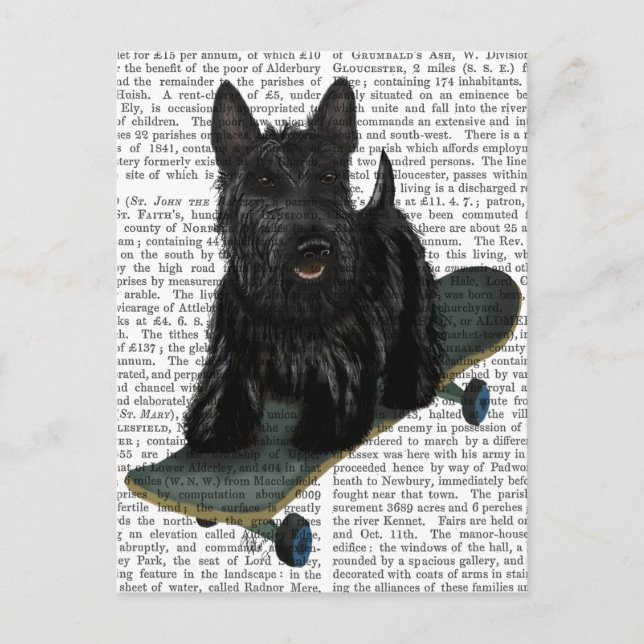 Carte Postale Scottish Terrier et Skateboard (Devant)