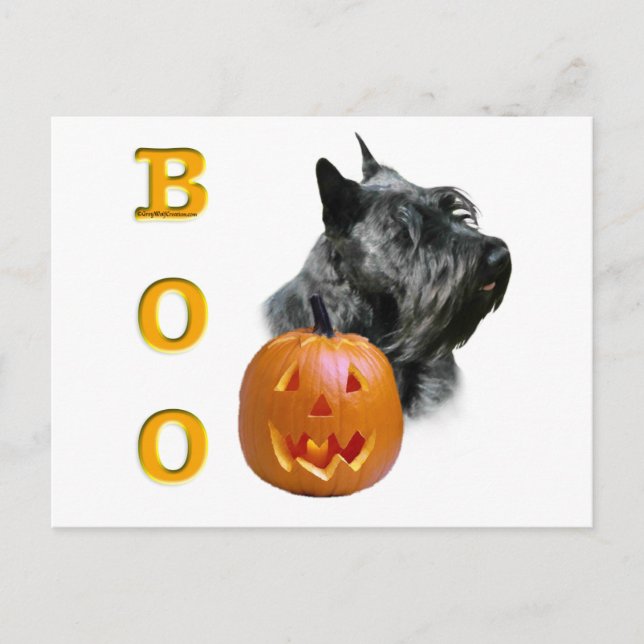 Carte Postale Scottish Terrier (noir) Boo (Devant)