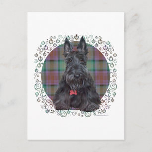 Carte Postale Scottish terrier on tartan