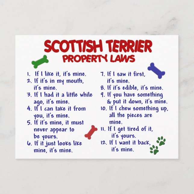 Carte Postale SCOTTISH TERRIER Propriété Lois 2 (Devant)