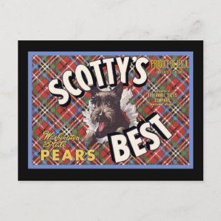 Carte Postale Scottish Terrier Scottys Best Dog