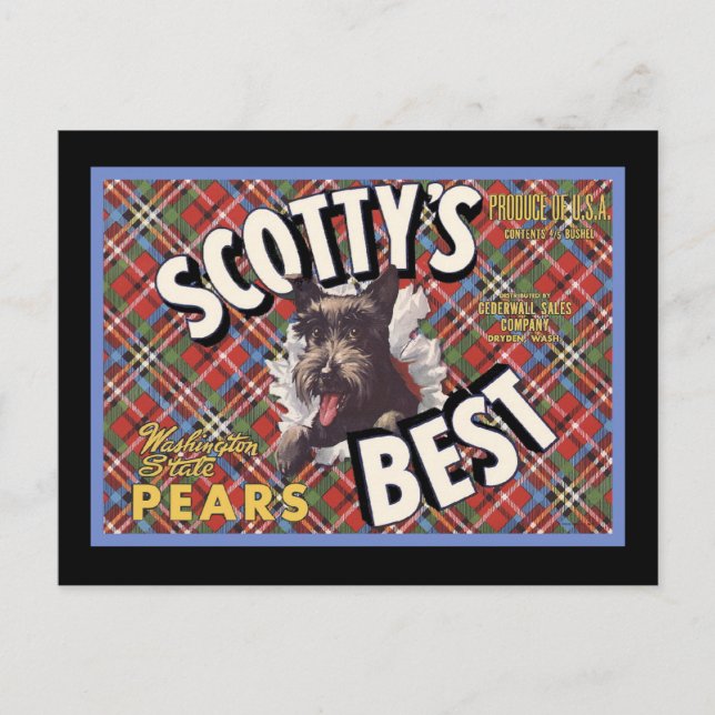 Carte Postale Scottish Terrier Scottys Best Dog (Devant)